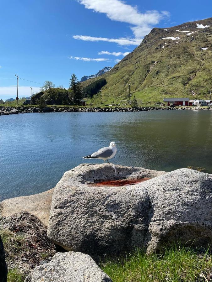 Brustranda Fjordcamping Valberg Exteriér fotografie